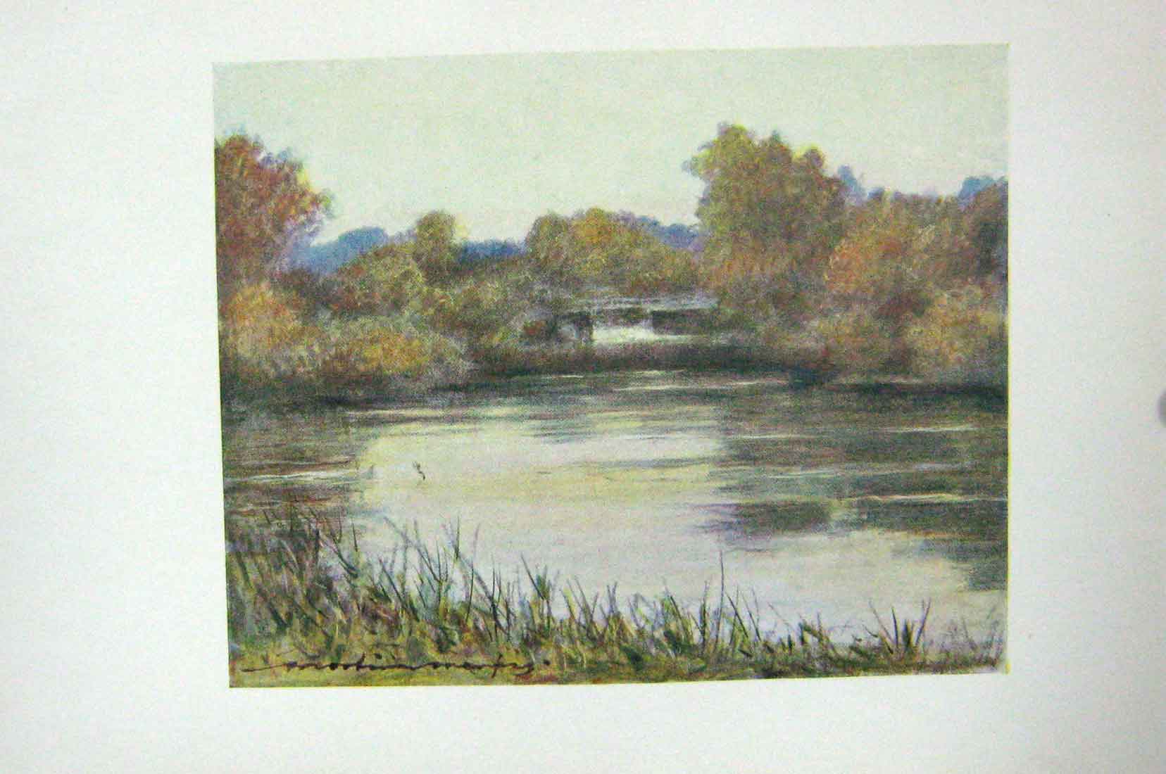 Original Old Antique Print Colour Sutton Courtney Backwater England
