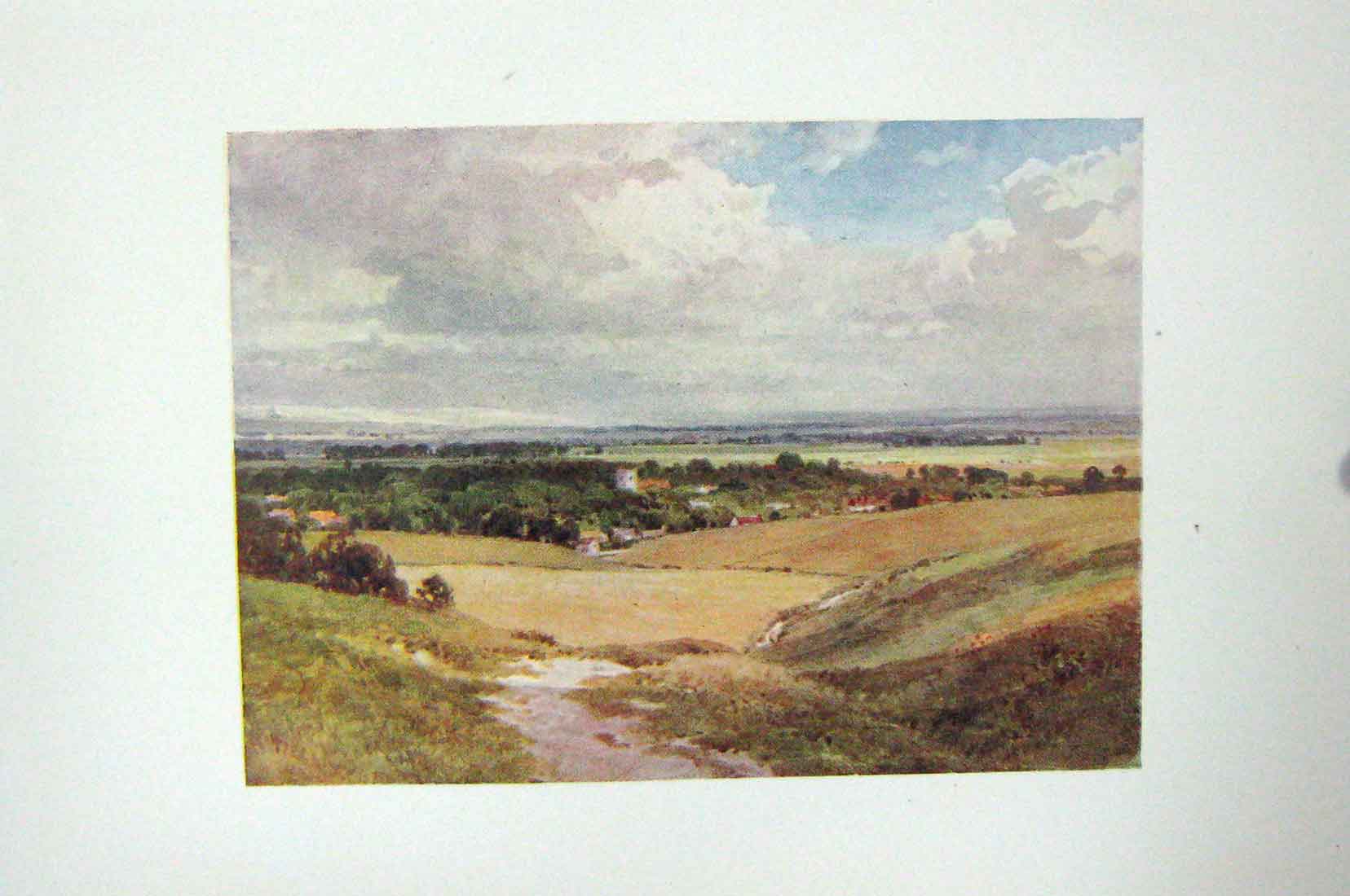 Original Old Antique Print Colour View Downs England Trees Landscape