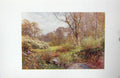 Original Old Antique Print Colour Spring Woods Ockley England Trees