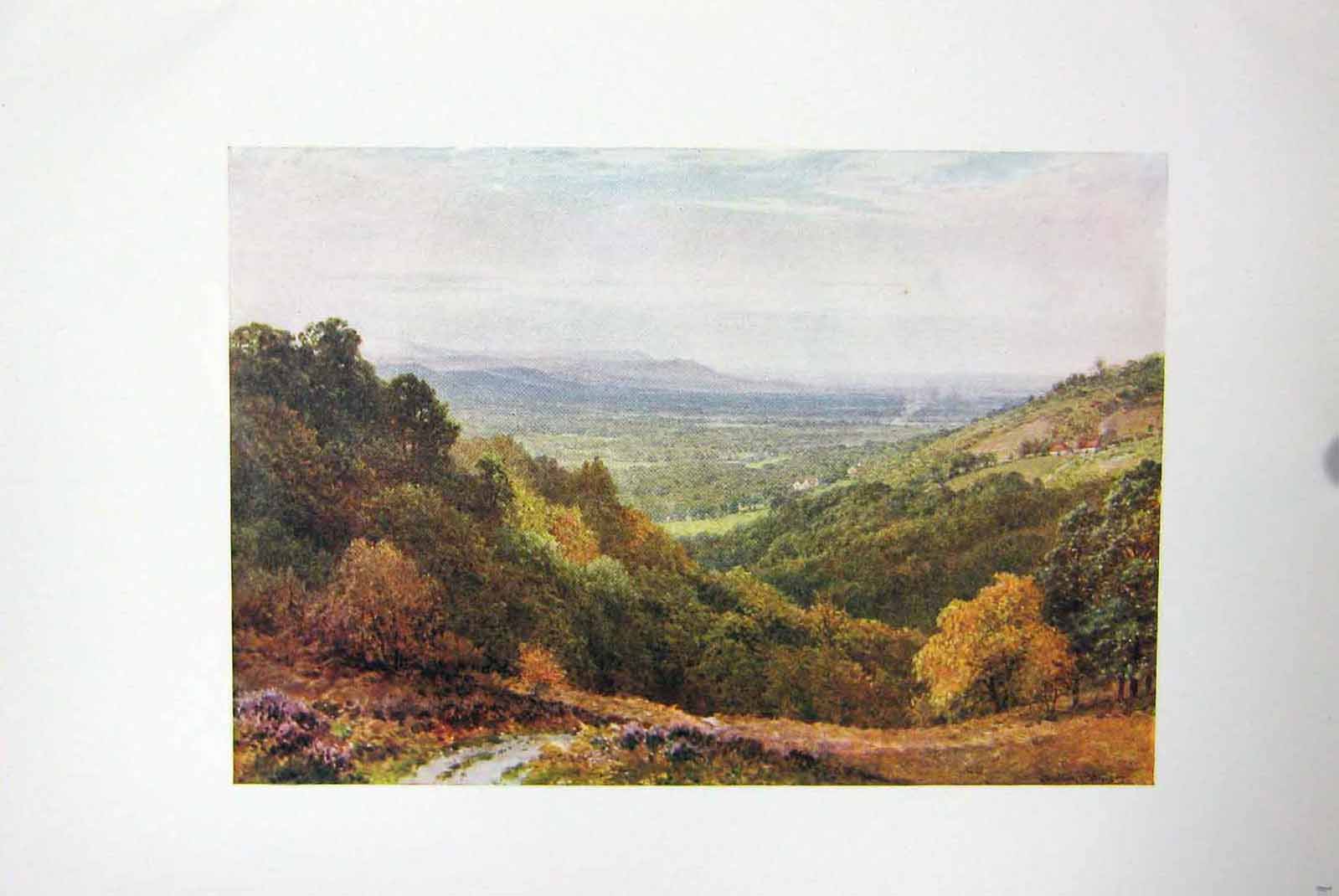 Original Old Antique Print Colour View Gibbet Hindhead Trees Hills Country