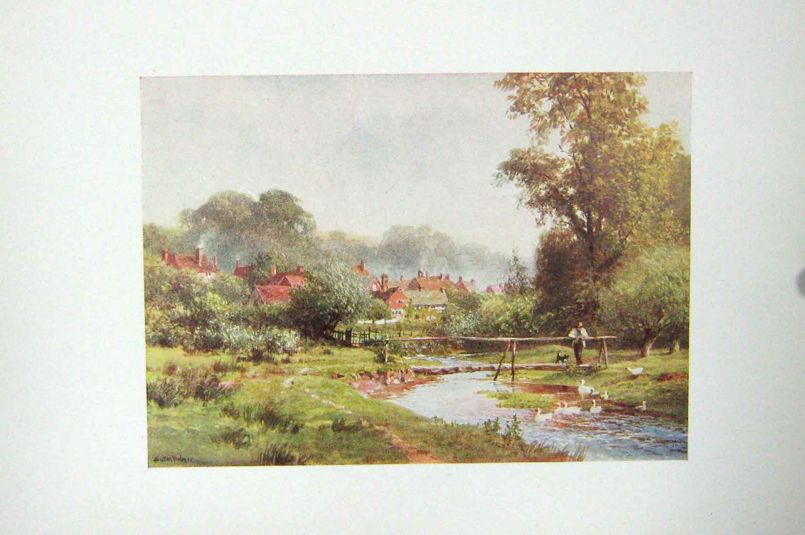 Original Old Antique Print Colour View Abinger Hammer Stream Geese Bridge