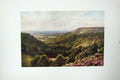Original Old Antique Print Colour Hills Peaslake Gomshall England Trees