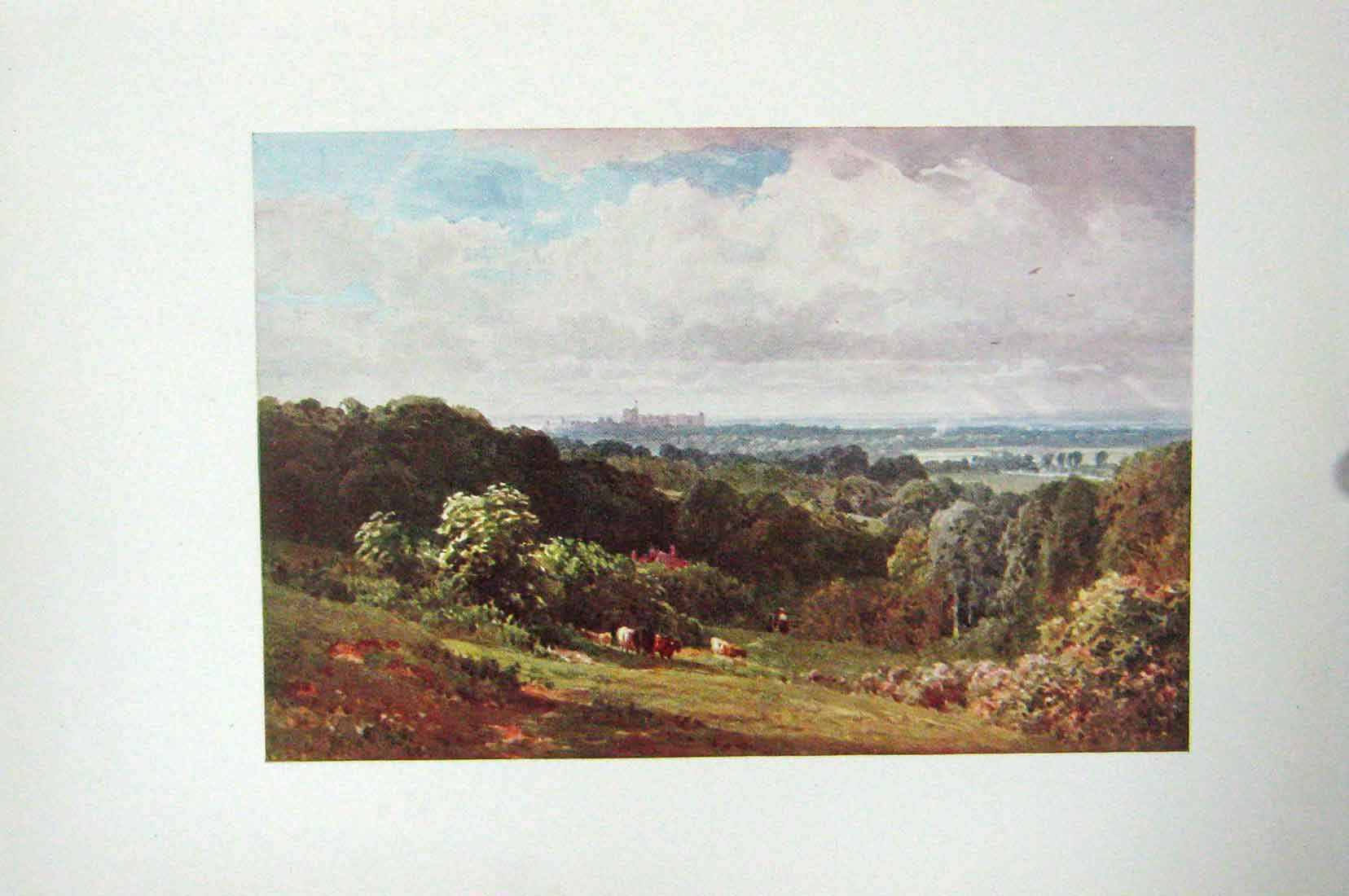 Antique Old Print Ref.898 Colour Windsor Castle Cooper'S Hill Egham England