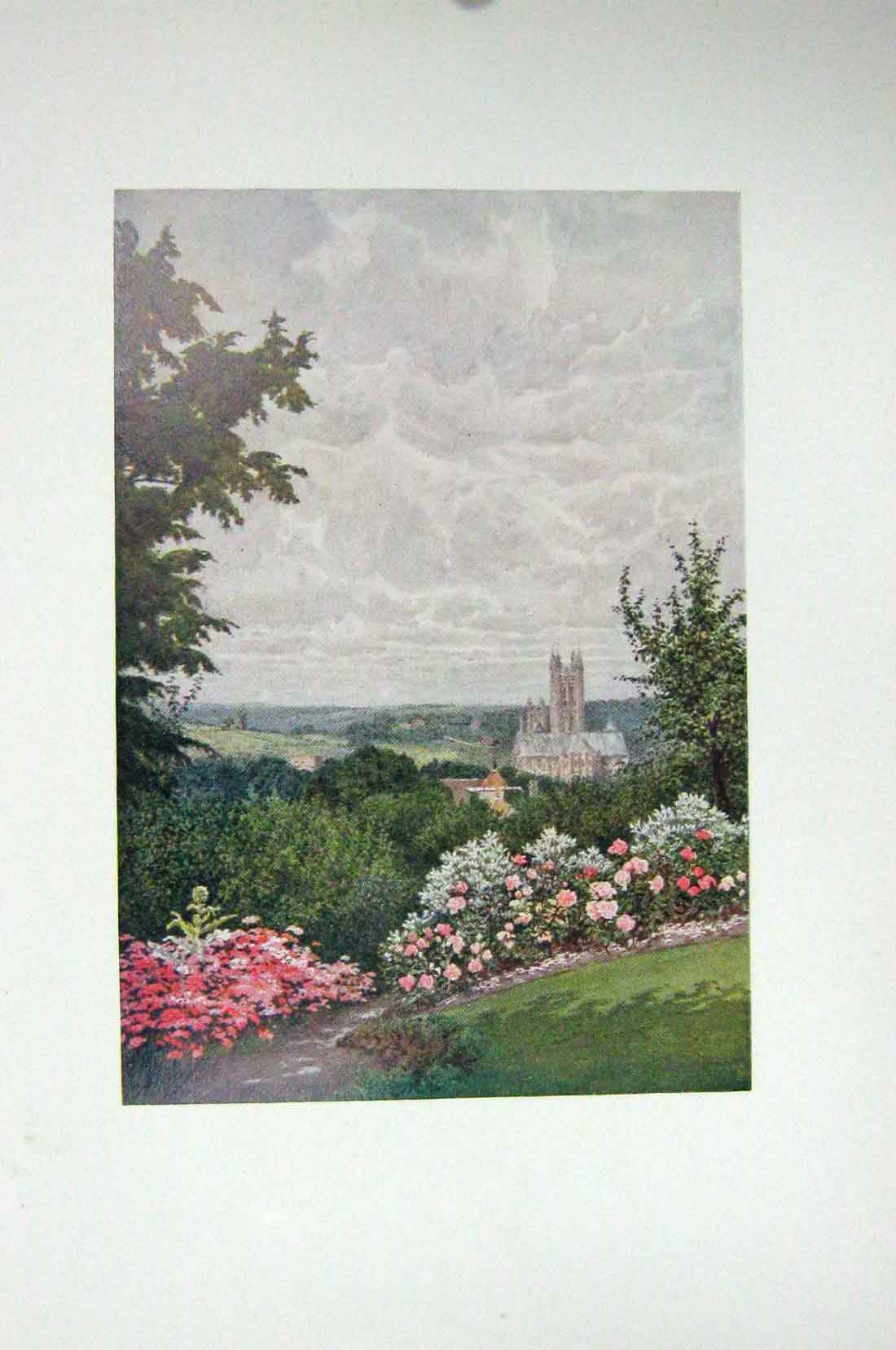 Original Old Antique Print Colour View Canterbury Cathedral Martin'S Tower 20th