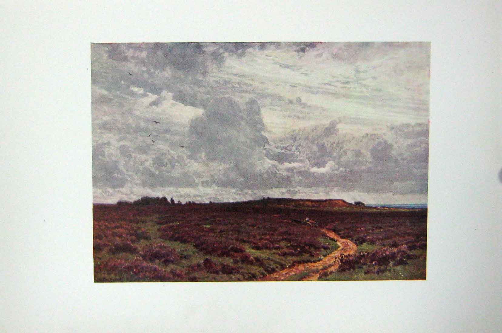 Original Old Antique Print Colour View Sandy Road Milford Heath England 20th