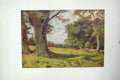 Original Old Antique Print Colour Windsor Great Park Bishopsgate London