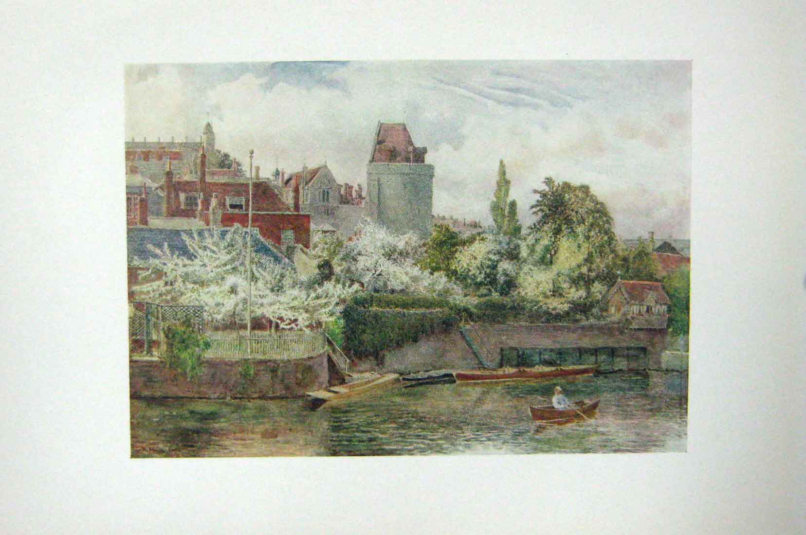 Original Old Antique Print Colour Riverside Gardens Fruit Trees Curfew Tower