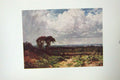 Original Old Antique Print Colour Clouds Sky Trees Landscape England