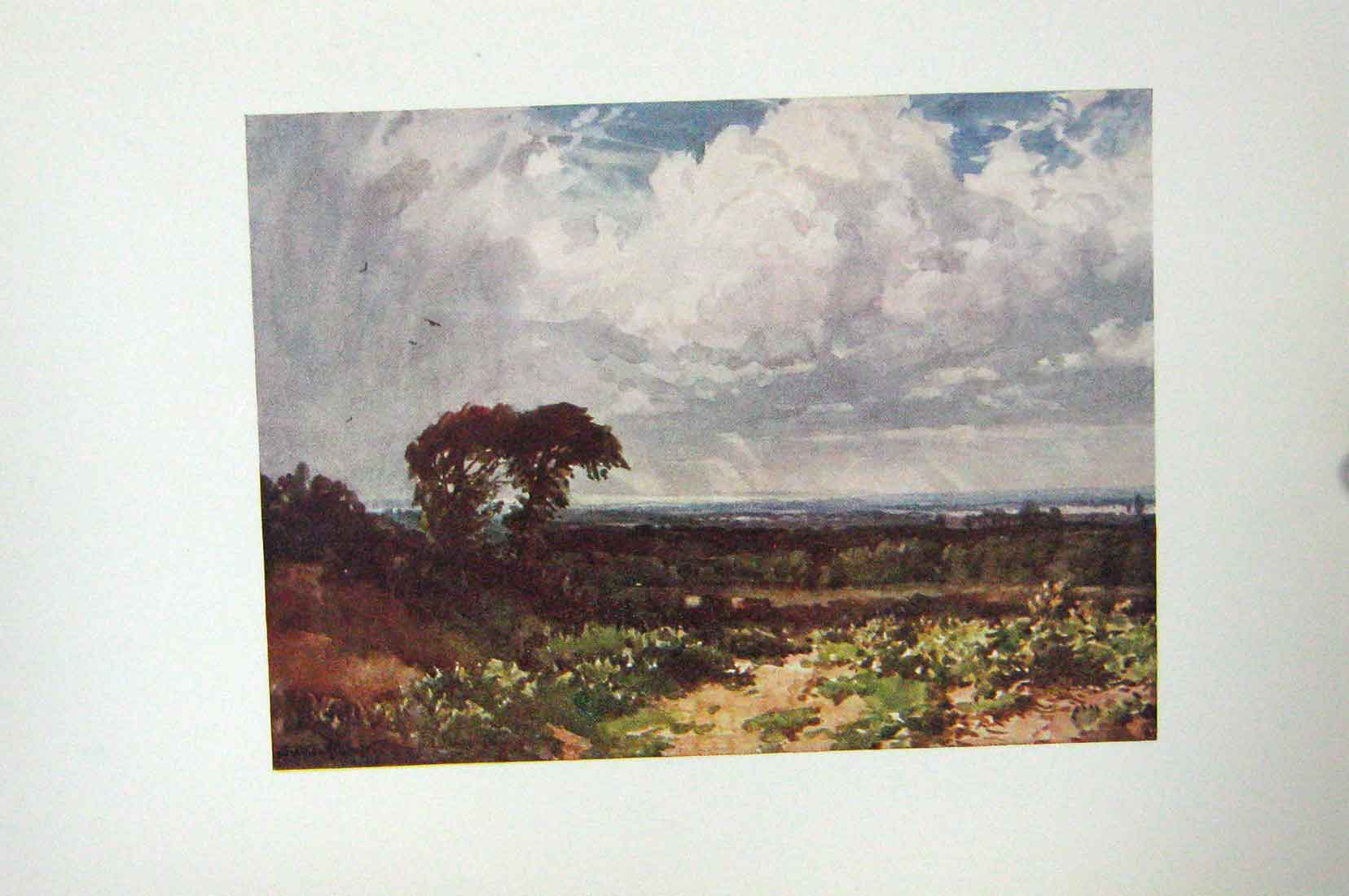 Original Old Antique Print Colour Clouds Sky Trees Landscape England