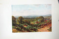 Original Old Antique Print Colour Sandhills Blackdown Trees England