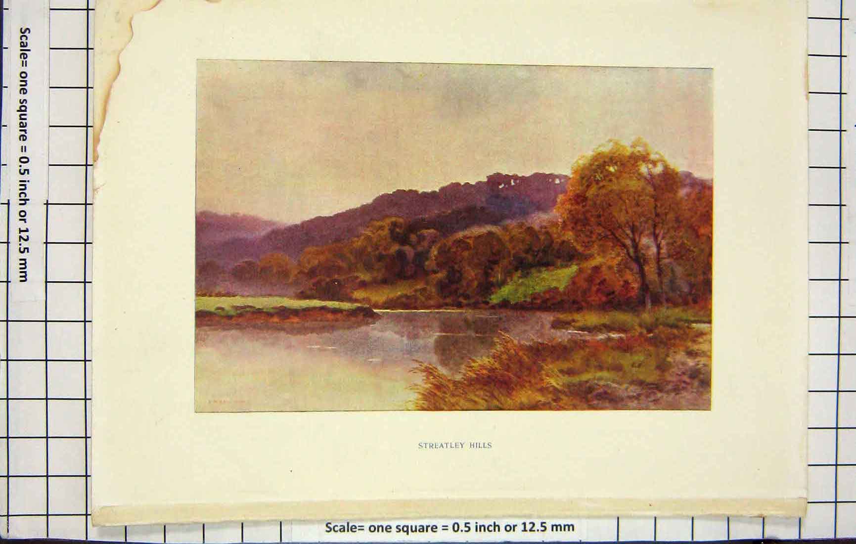 Original Old Antique Print Colour View Streatley Hills Trees Lake Mountains