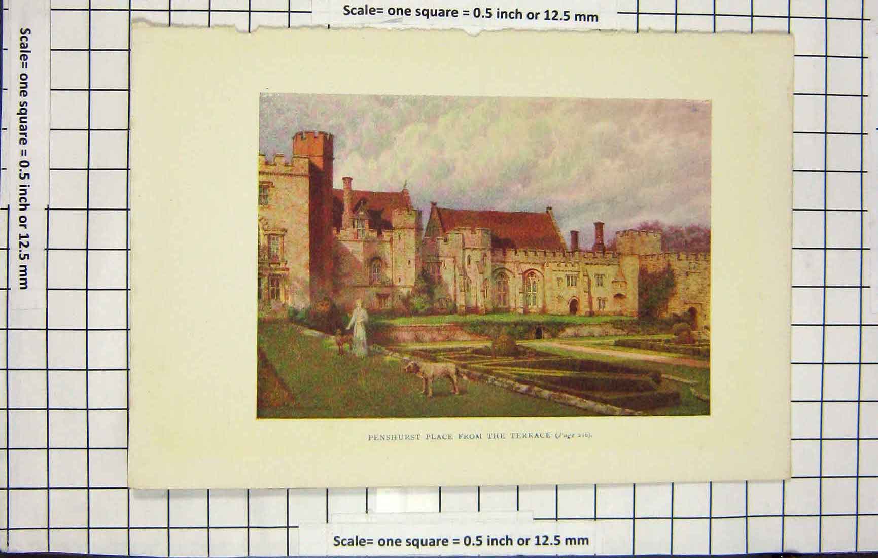 Original Old Antique Print Colour View Penshurst Place Terrace Architecture