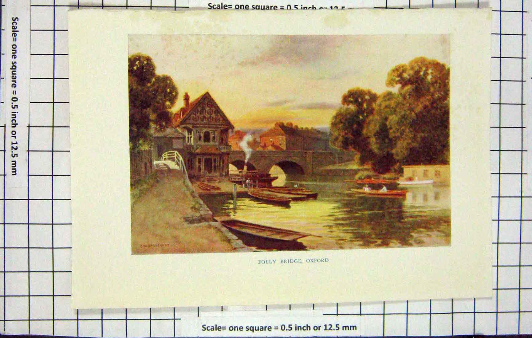 Original Old Antique Print Haslehust Colour View Folly Bridge Oxford London