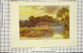 Original Old Antique Print Haslehust Colour View Langbourne Lake Trees