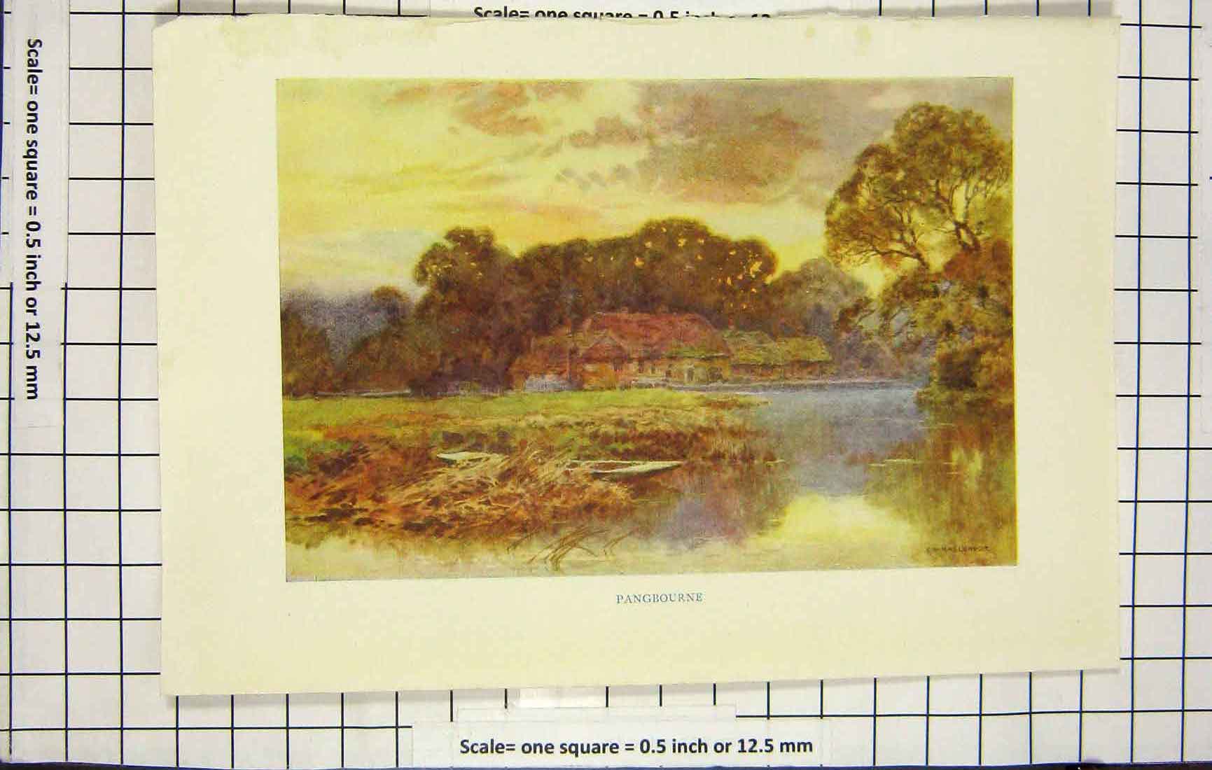 Original Old Antique Print Haslehust Colour View Langbourne Lake Trees