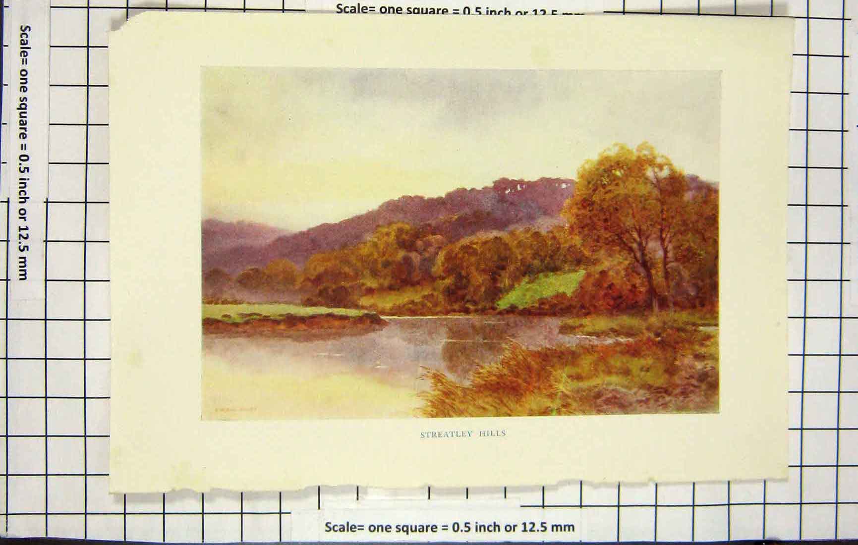 Original Old Antique Print Haslehust Colour View Streatley Hills Trees
