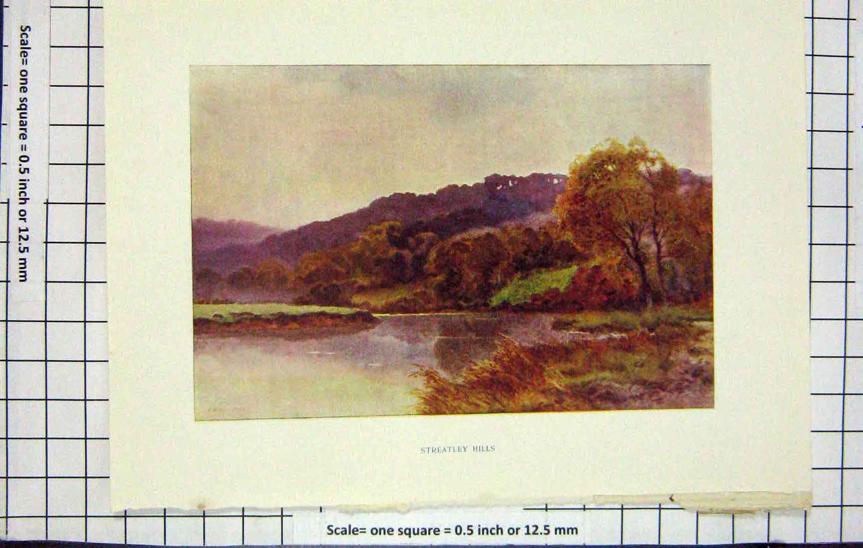 Antique Old Print Ref.913 Haslehust Colour View Streatley Hills Lake Trees