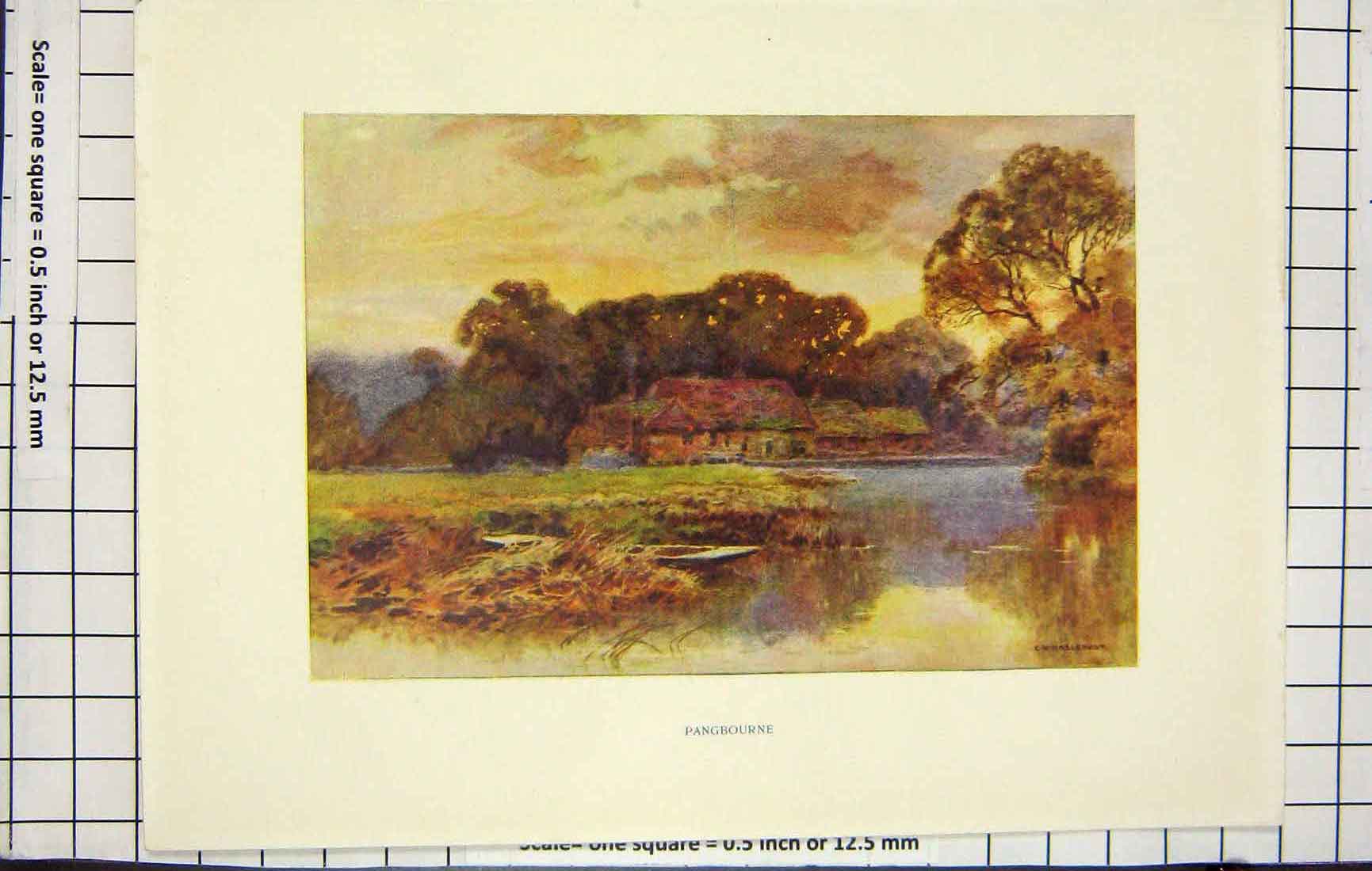 Original Old Antique Print Haslehust Colour View Pangbourne House Lake