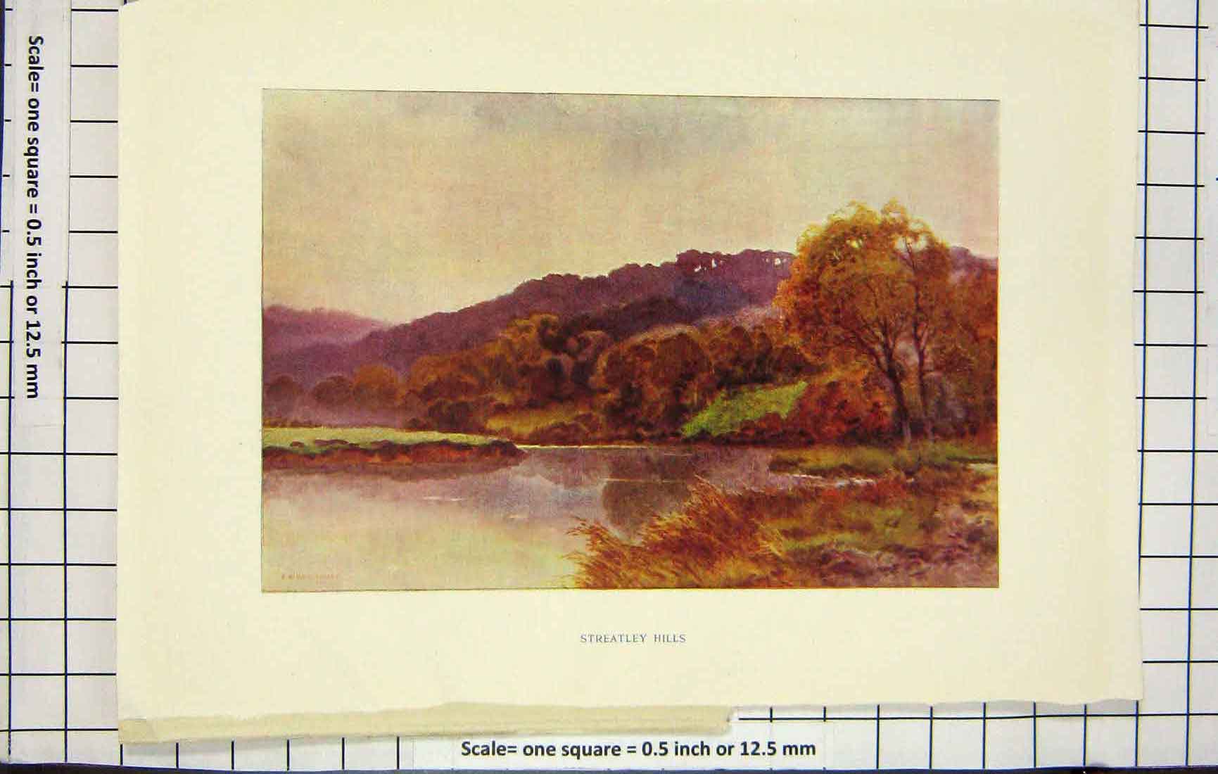 Original Old Antique Print Haslehust Colour View Streatly Hills Trees