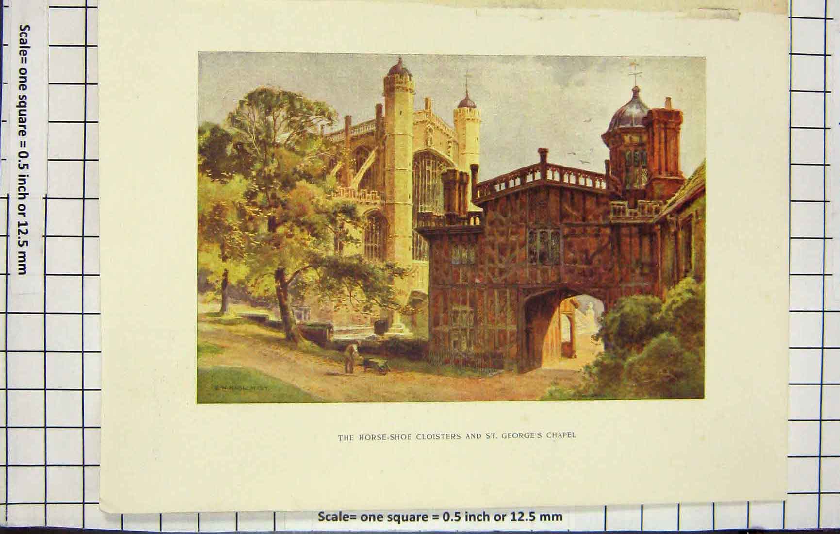 Original Old Antique Print Haslehust Horse-Shoe Cloisters George'S Chapel