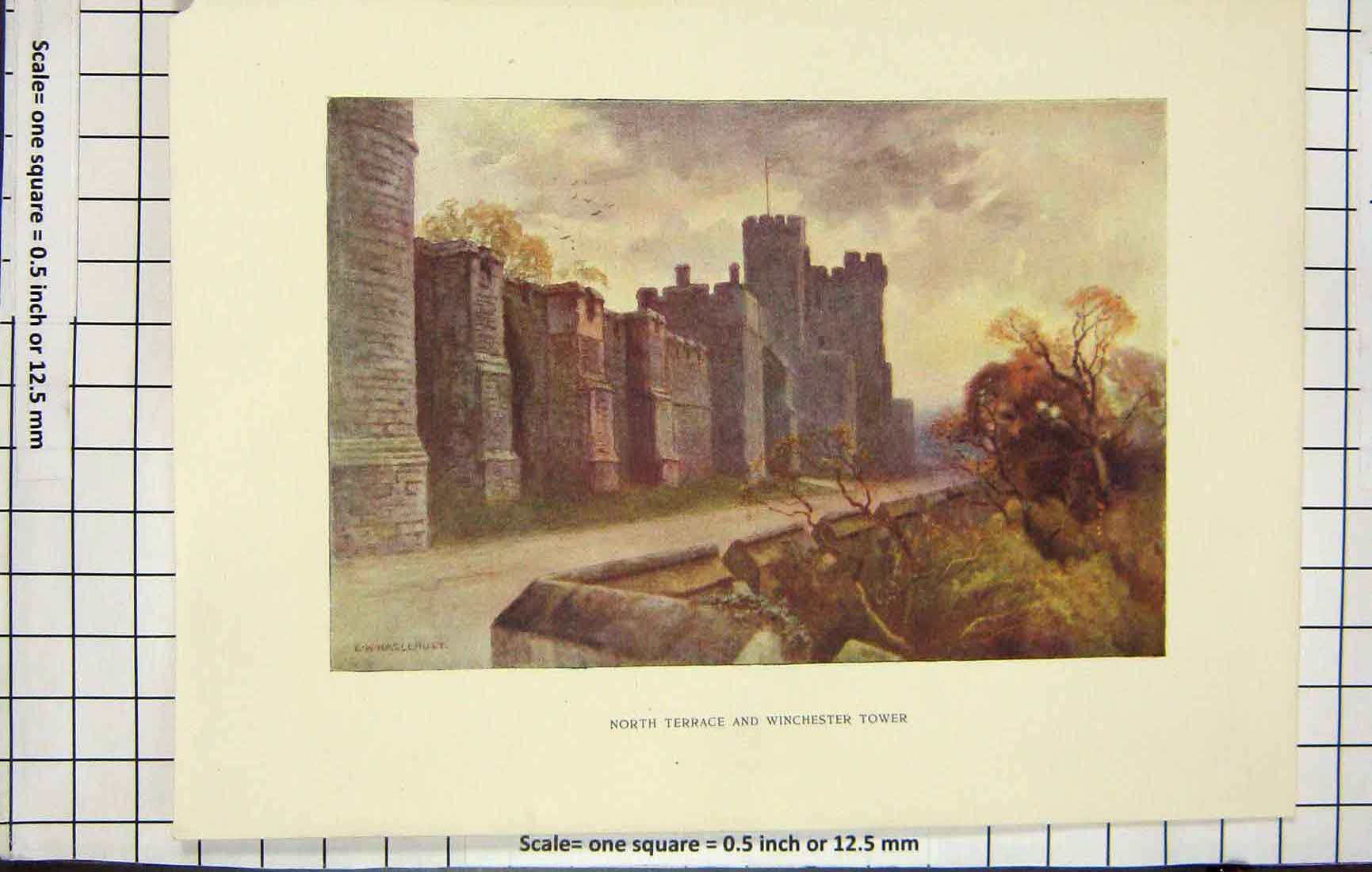 Original Old Antique Print Haslehust Colour Terrace Winchester Tower