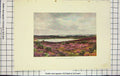 Original Old Antique Print Colour Great Pond Frensham Lake Heather