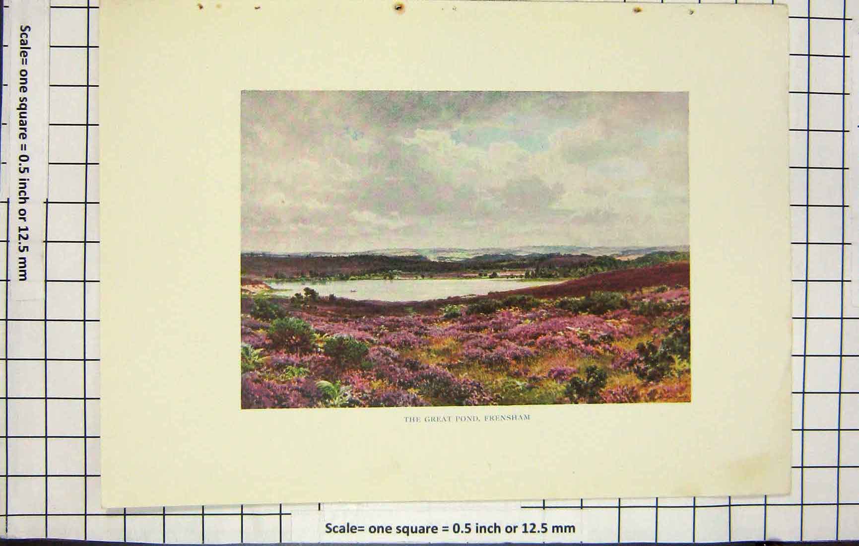Original Old Antique Print Colour Great Pond Frensham Lake Heather