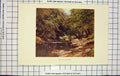 Original Old Antique Print Colour Tavy Tavistock River Trees Country
