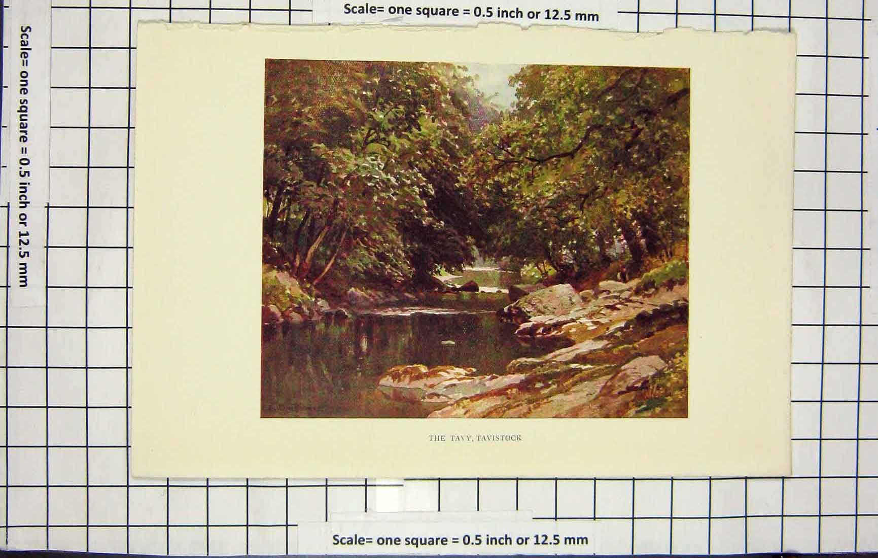 Original Old Antique Print Colour Tavy Tavistock River Trees Country