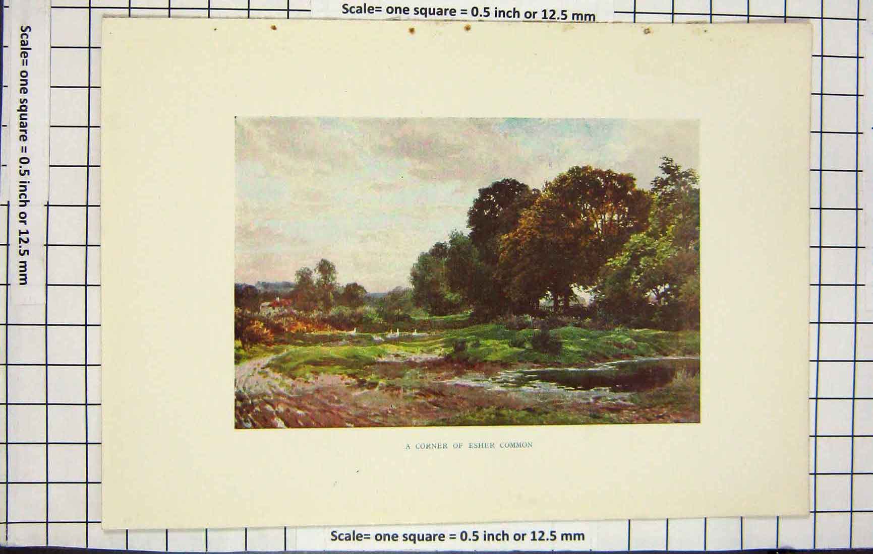 Original Old Antique Print Colour View Corner Esher Common England 19th Century