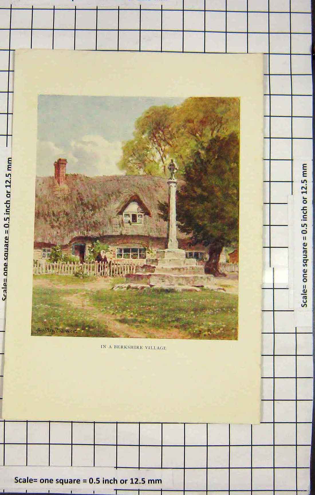 Original Old Antique Print Palmer Colour View Berkshire Village House Cross