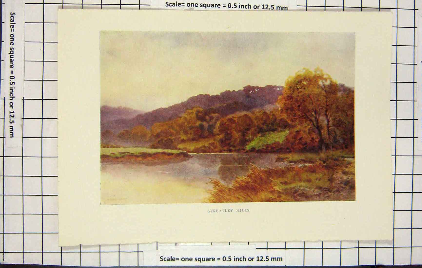Antique Old Print Ref.923 Haslehust Colour View Streatley Hills River Trees