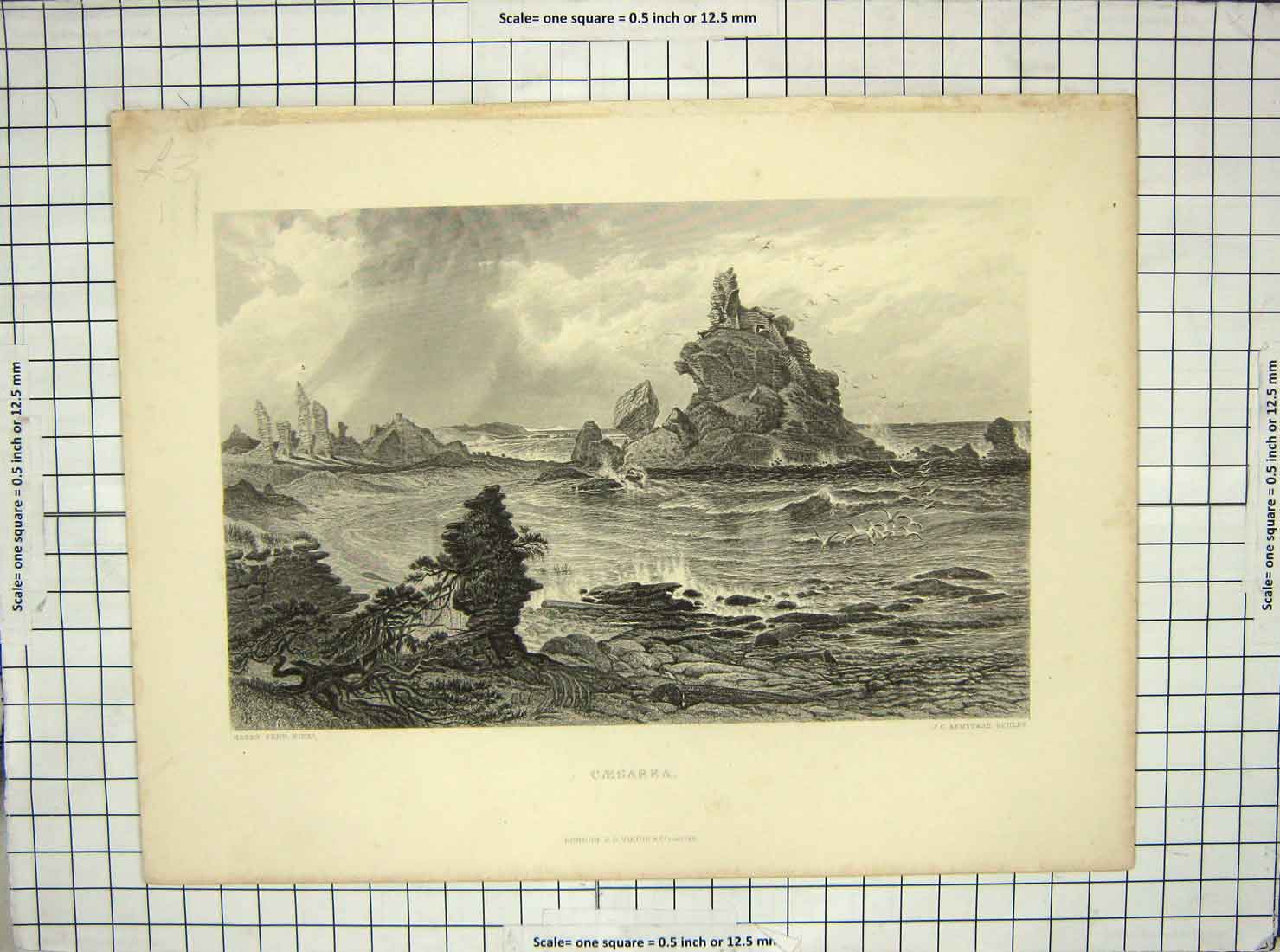 Original Old Antique Print Sea Caesarea Birds Cliffs Armytage Fenn