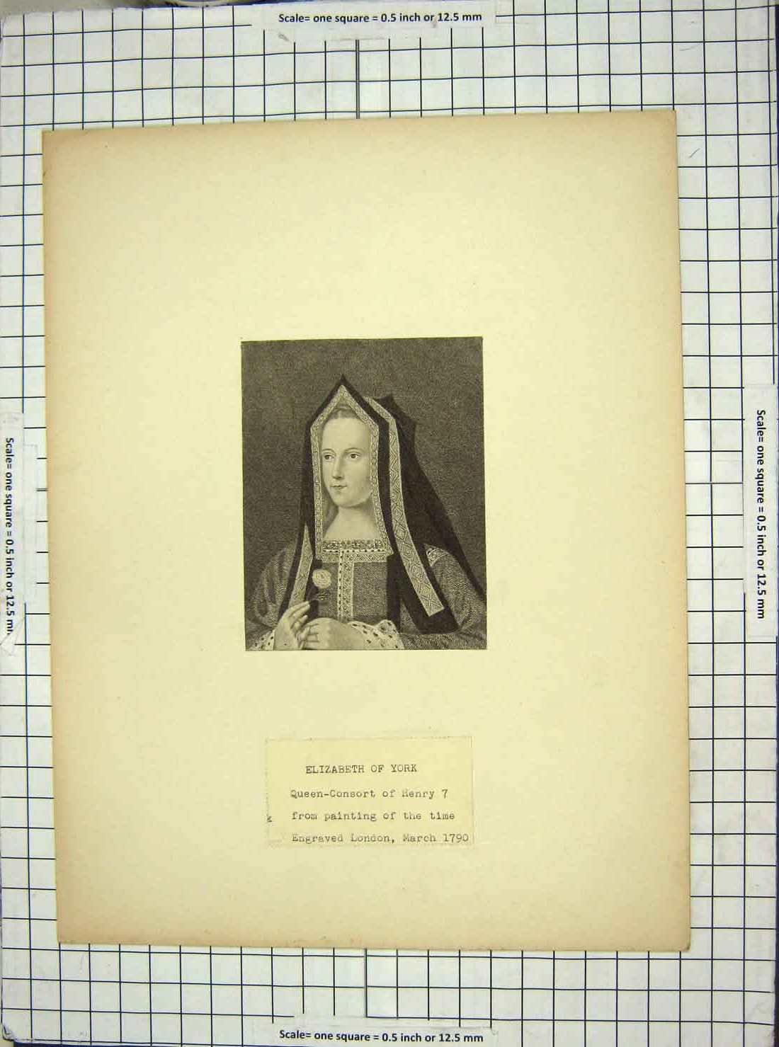Original Old Antique Print Portrait Queen Consort Elizabeth York Henry