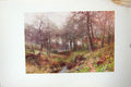 Original Old Vintage Print Colour C1920 Farm Woods Haslemere England 20th
