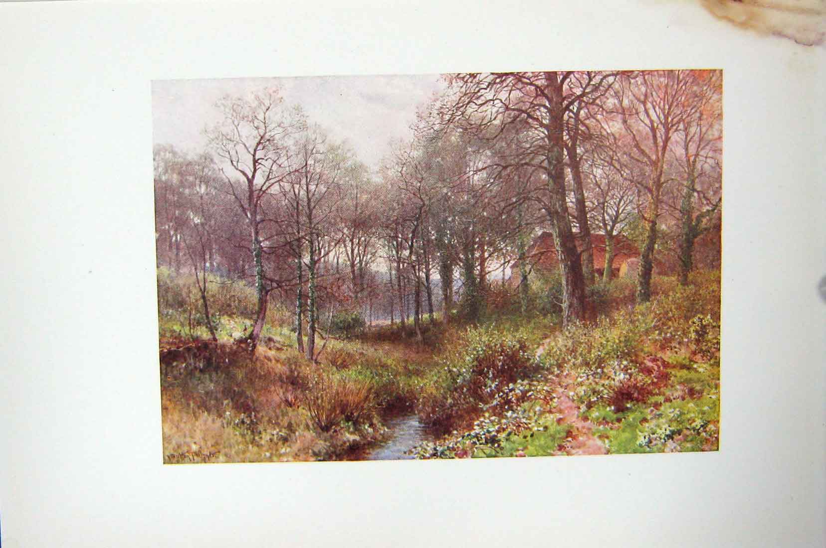 Original Old Vintage Print Colour C1920 Farm Woods Haslemere England 20th