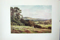 Original Old Vintage Print Colour C1920 View Hayfield Wonersh Landscape 20th