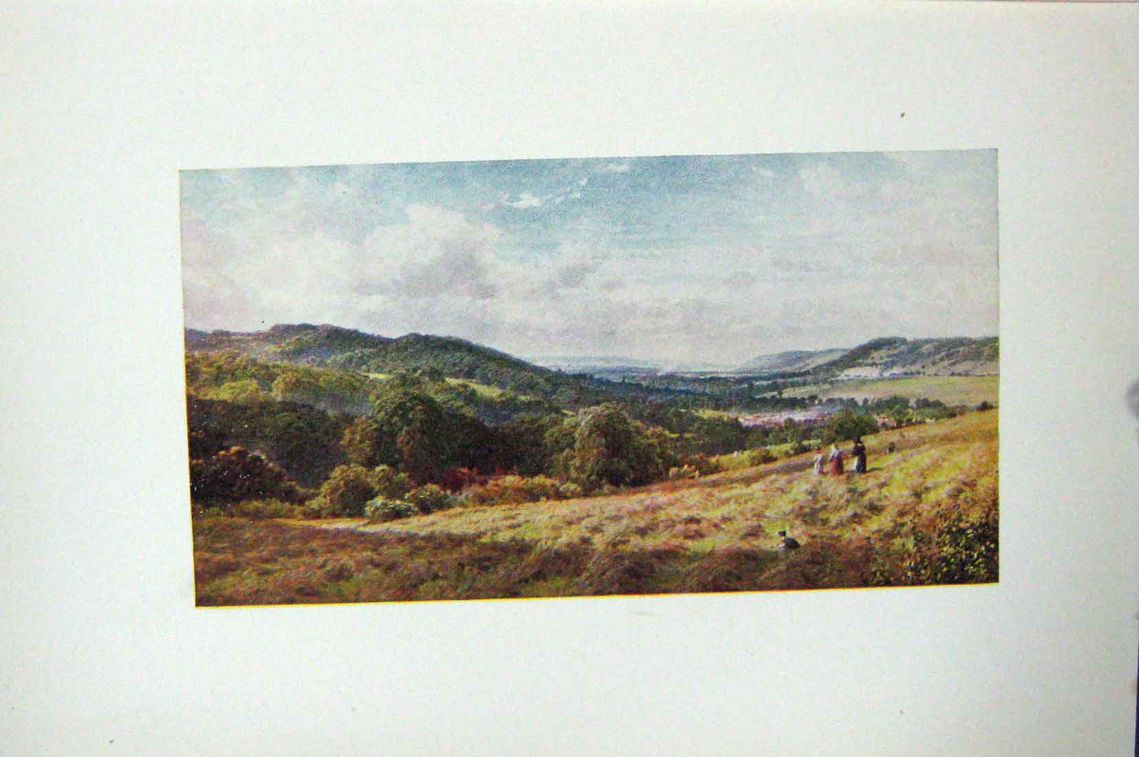 Original Old Vintage Print Colour C1920 View Vale Dorking England Farming 20th