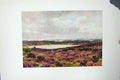 Original Old Vintage Print Colour C1920 Great Pond Frensham England 20th