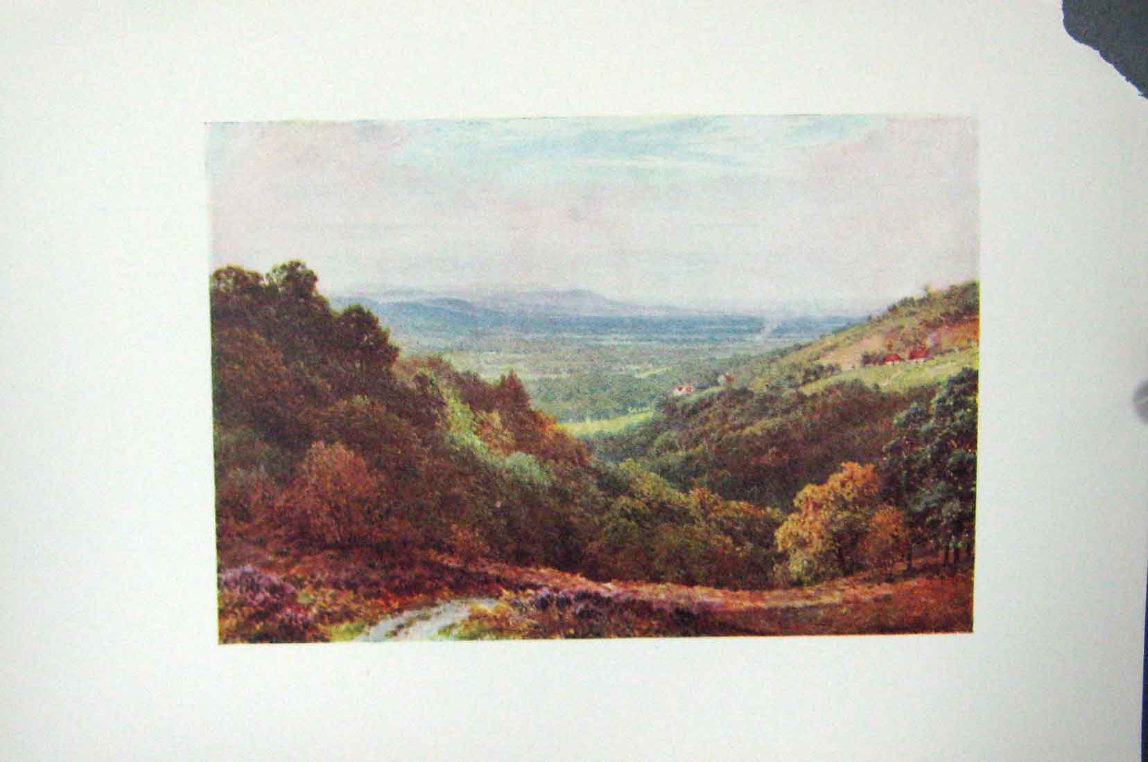 Original Old Vintage Print Colour C1920 View Hindhead England Countryside 20th