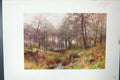 Original Old Vintage Print Colour C1920 Farm Woods Haslemere England Trees 20th