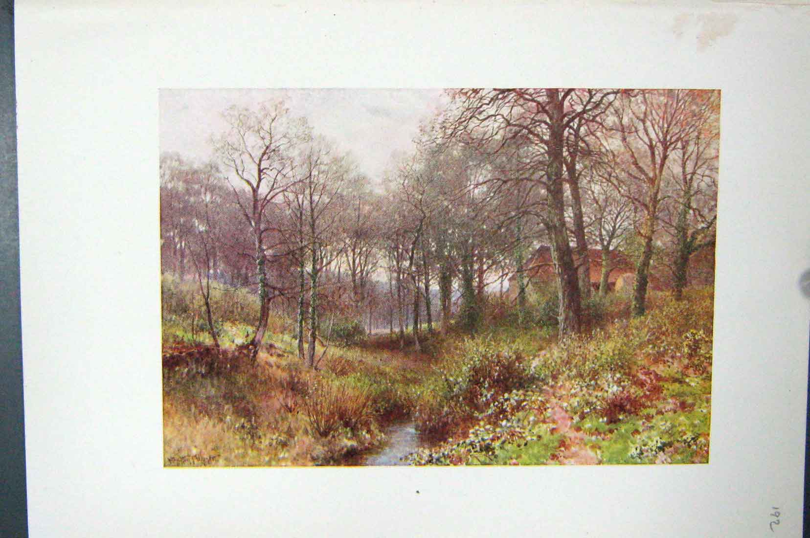 Original Old Vintage Print Colour C1920 Farm Woods Haslemere England Trees 20th