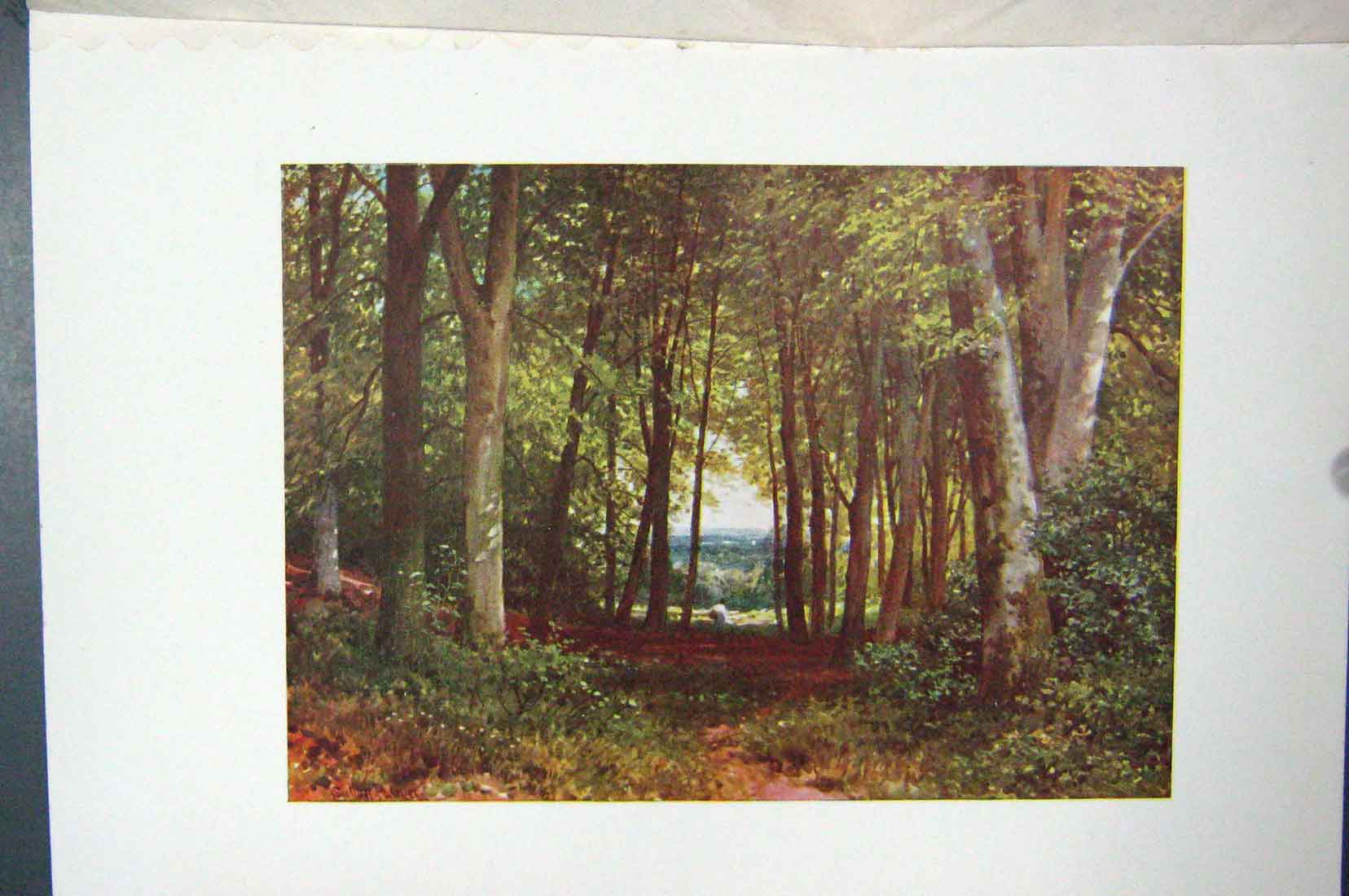 Original Old Vintage Print Colour C1920 Deep-Leap Wood Wotton England 20th