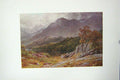 Original Old Vintage Print Colour C1920 Derwent Borrowdale Cumberland 20th