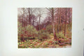 Original Old Vintage Print Colour C1920 Gamekeeper'S Cot Trees Forest Wood 20th