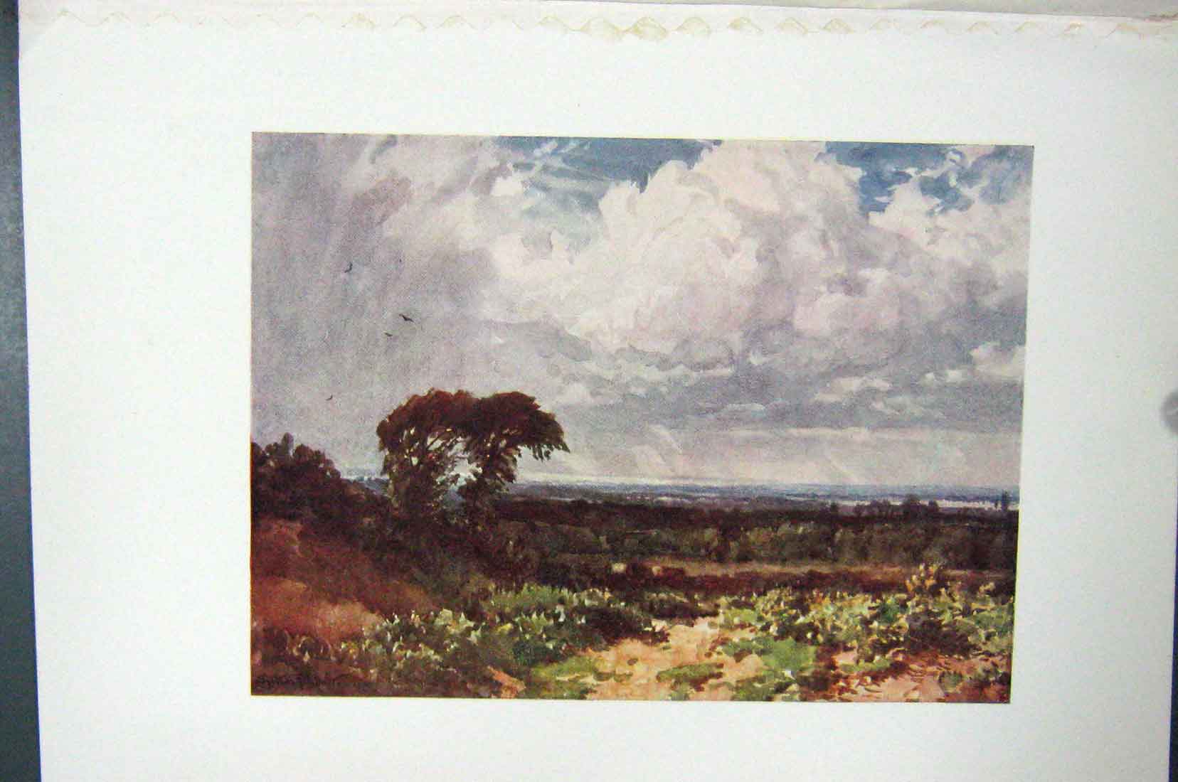 Original Old Vintage Print Colour C1920 Cloud Sky Trees Countryside 20th