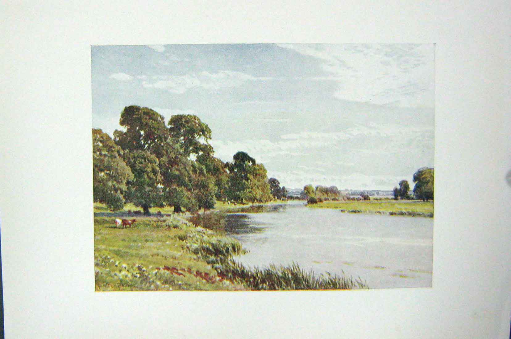 Original Old Vintage Print Colour C1920 River Ouse Erpingham Bucks England 20th