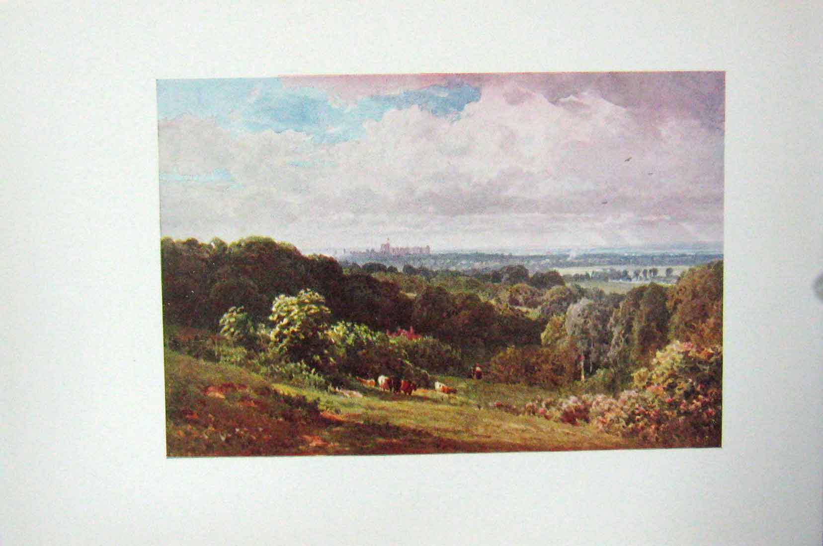 Original Old Vintage Print Colour C1920 Windsor Castle Cooper'S Hill Egham 20th