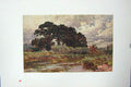 Original Old Vintage Print Colour C1920 Buckinghamshire Marsh England 20th