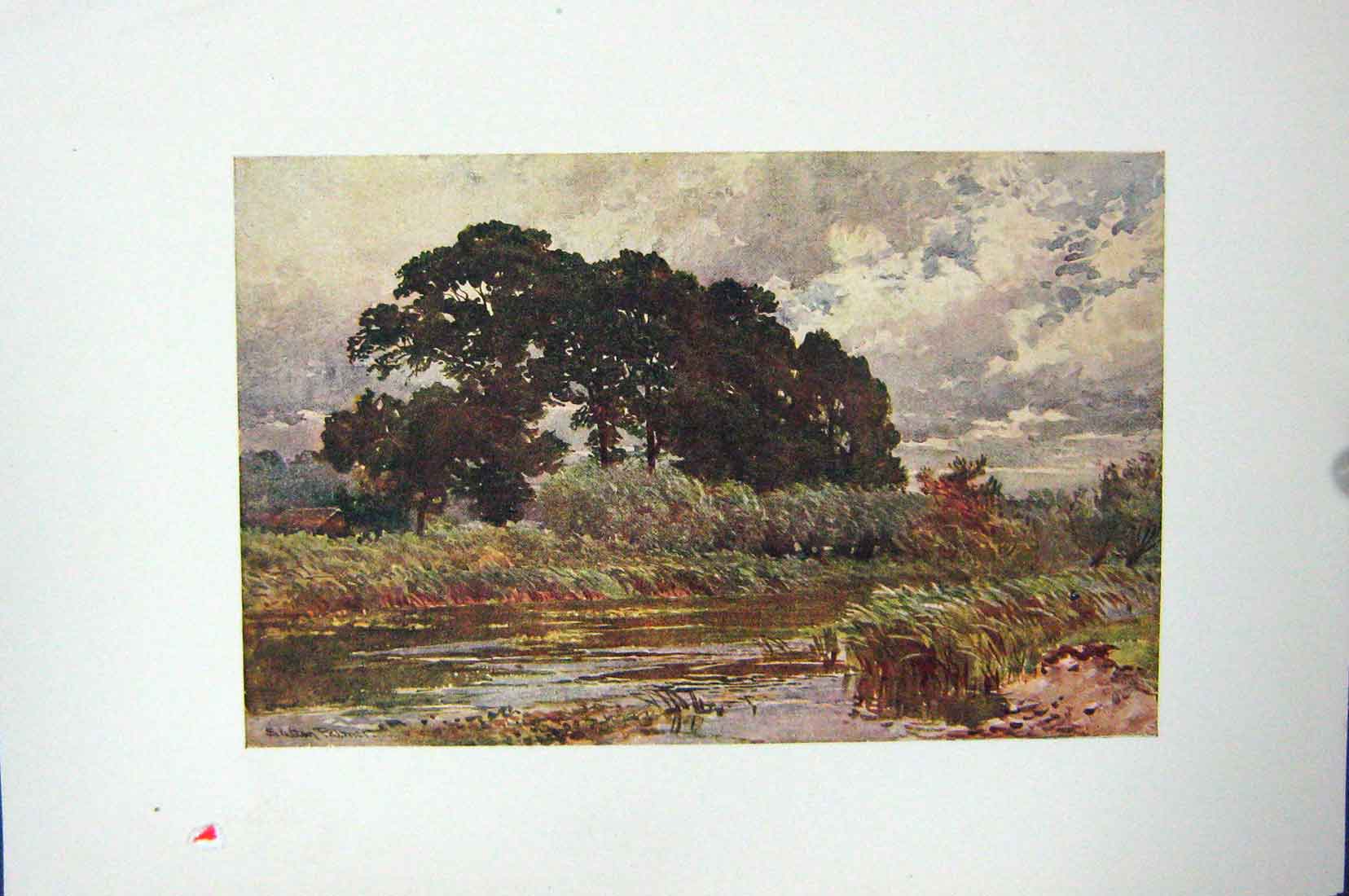 Original Old Vintage Print Colour C1920 Buckinghamshire Marsh England 20th